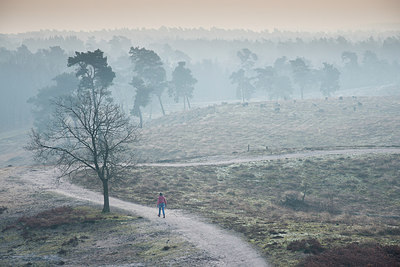 BUITEN BEELD Foto: 275066