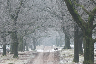 BUITEN BEELD Foto: 275070