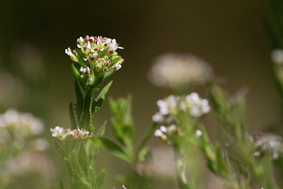BUITEN BEELD Foto: 275084