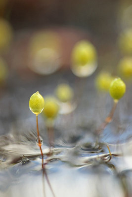 BUITEN BEELD Foto: 275151