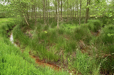BUITEN BEELD Foto: 275164