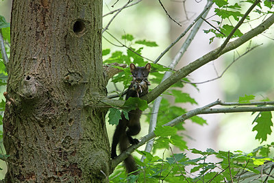 BUITEN BEELD Foto: 275198
