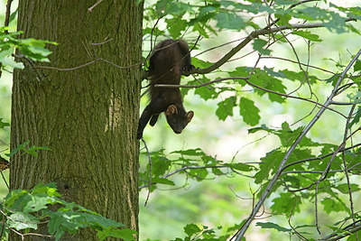 BUITEN BEELD Foto: 275204