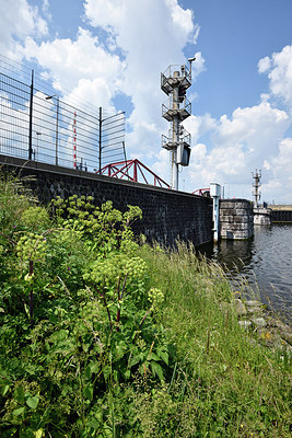 BUITEN BEELD Foto: 275422
