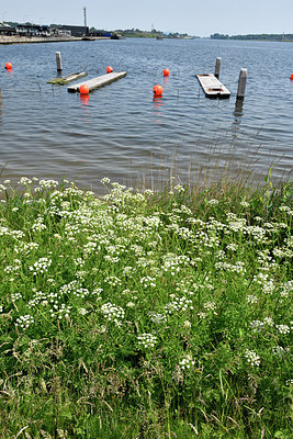 BUITEN BEELD Foto: 275424