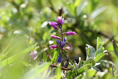 BUITEN BEELD Foto: 275459
