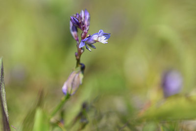 BUITEN BEELD Foto: 275461