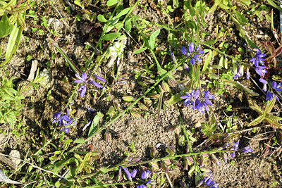 BUITEN BEELD Foto: 275462