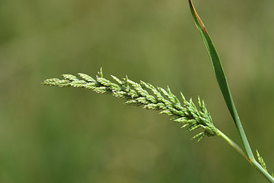 BUITEN BEELD Foto: 275469