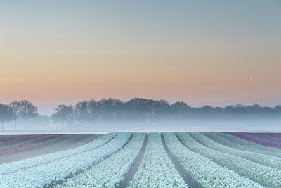 BUITEN BEELD Foto: 275507