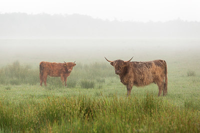 BUITEN BEELD Foto: 275550