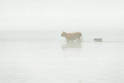 BUITEN BEELD Foto: 275551
