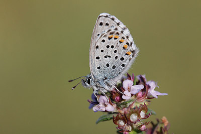 BUITEN BEELD Foto: 275552