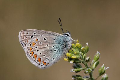 BUITEN BEELD Foto: 275557