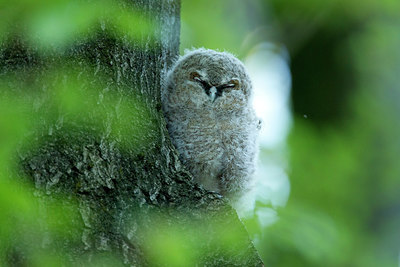 BUITEN BEELD Foto: 275575