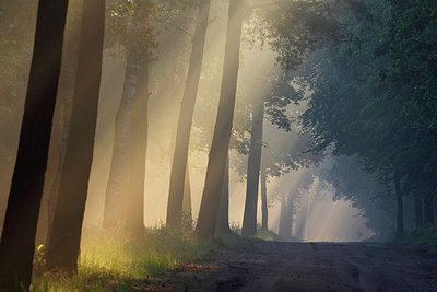 BUITEN BEELD Foto: 275596