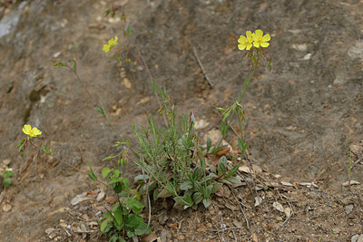BUITEN BEELD Foto: 275621