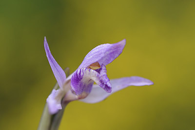 BUITEN BEELD Foto: 275622