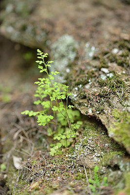 BUITEN BEELD Foto: 275629