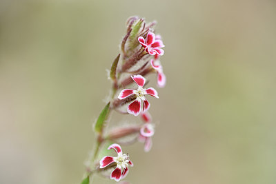 BUITEN BEELD Foto: 275632