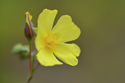BUITEN BEELD Foto: 275647
