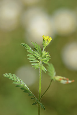 BUITEN BEELD Foto: 275652