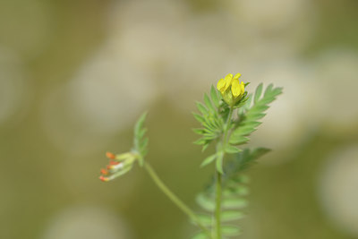 BUITEN BEELD Foto: 275653