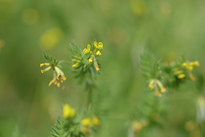BUITEN BEELD Foto: 275655