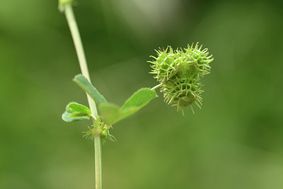 BUITEN BEELD Foto: 275661