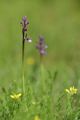 BUITEN BEELD Foto: 275680