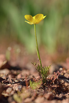 BUITEN BEELD Foto: 275715