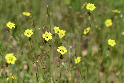 BUITEN BEELD Foto: 275740