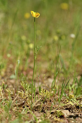 BUITEN BEELD Foto: 275748