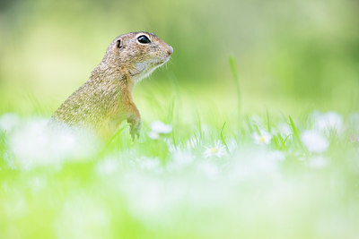 BUITEN BEELD Foto: 275770