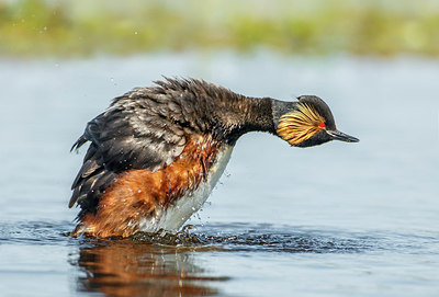 BUITEN BEELD Foto: 275795