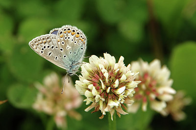 BUITEN BEELD Foto: 275878