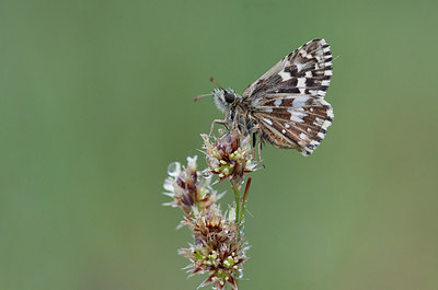 BUITEN BEELD Foto: 276011