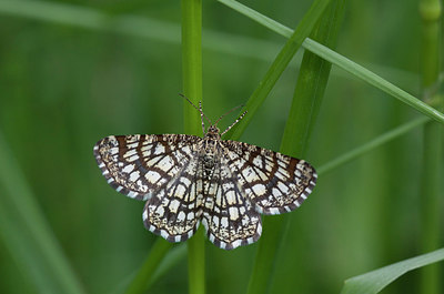 BUITEN BEELD Foto: 276013