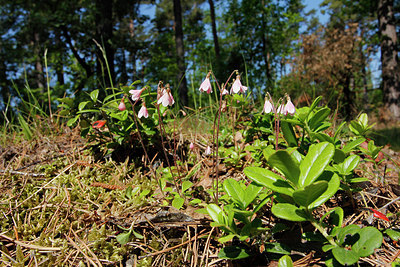 BUITEN BEELD Foto: 276074