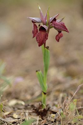 BUITEN BEELD Foto: 276111