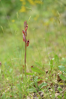 BUITEN BEELD Foto: 276116
