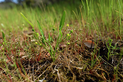 BUITEN BEELD Foto: 276274