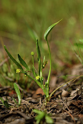 BUITEN BEELD Foto: 276302