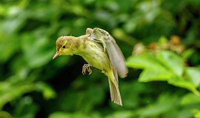 BUITEN BEELD Foto: 276371