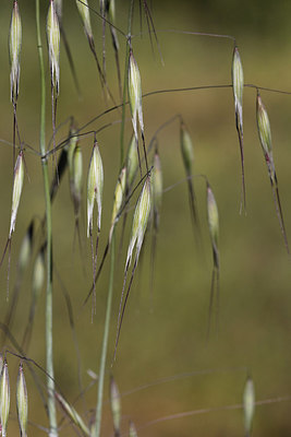 BUITEN BEELD Foto: 276383