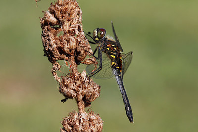 BUITEN BEELD Foto: 276439