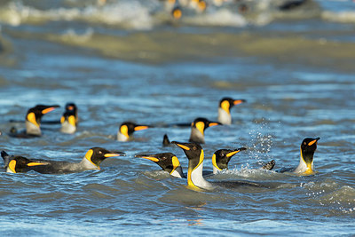 BUITEN BEELD Foto: 276493