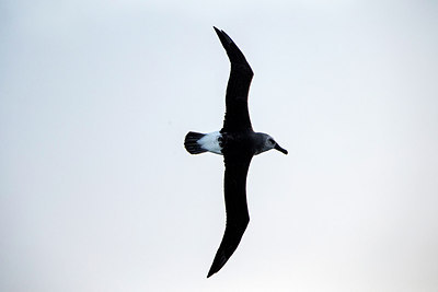 BUITEN BEELD Foto: 276542