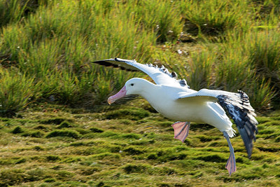 BUITEN BEELD Foto: 276547