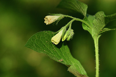 BUITEN BEELD Foto: 276610